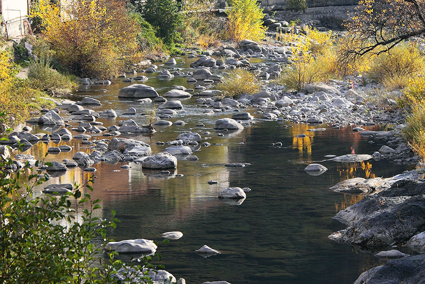 Epeorus del torrente Argentina - Badalucco (IM)